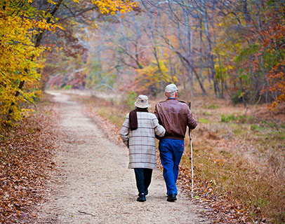 SENIORS en forêt